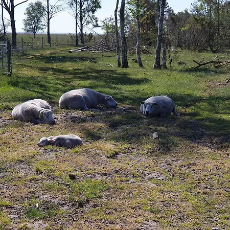 10 Person In Hadsund-by Traum