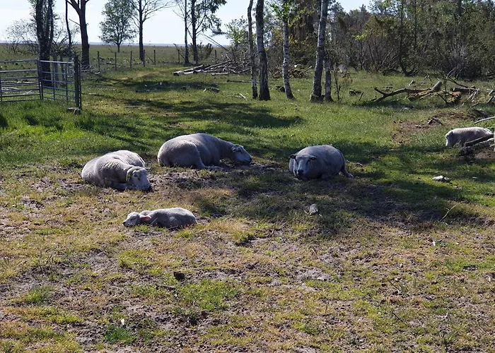 10 Person In Hadsund-by Traum